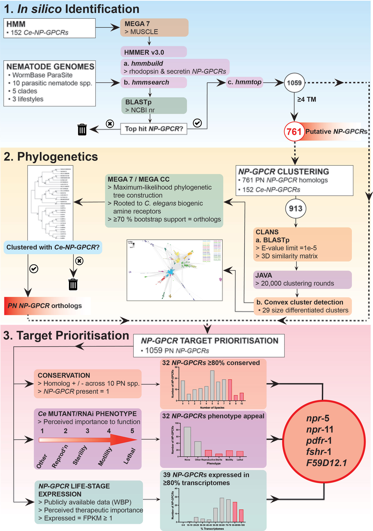 Frontiers | Phylum-Spanning Neuropeptide GPCR Identification and ...