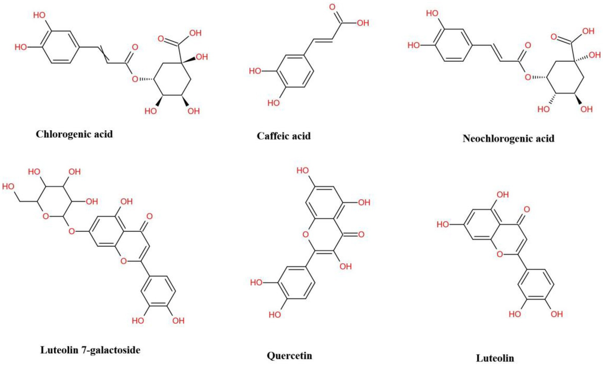 【あすつく】 Frontiers japonica Lonicera of Application Potential | その他