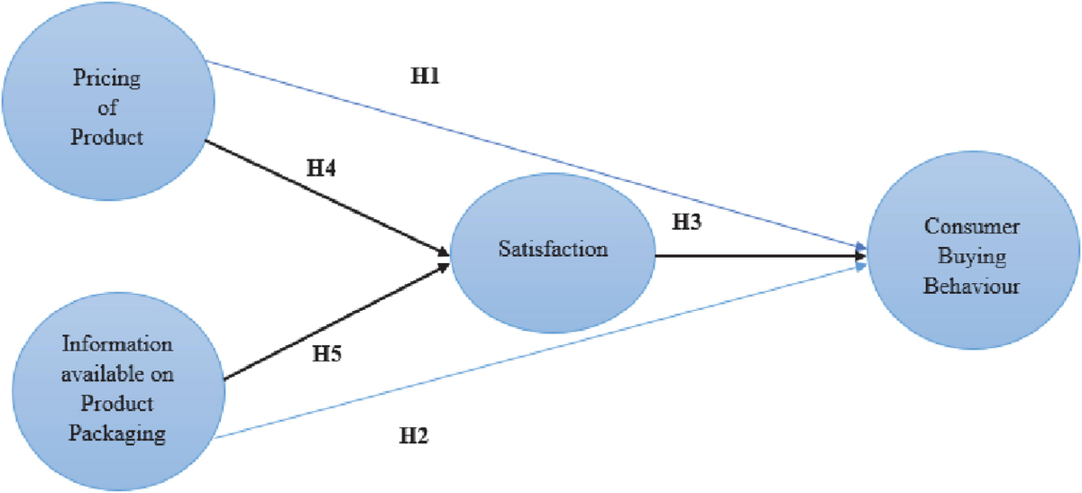 Frontiers | Impact of Pricing and Product Information on Consumer 