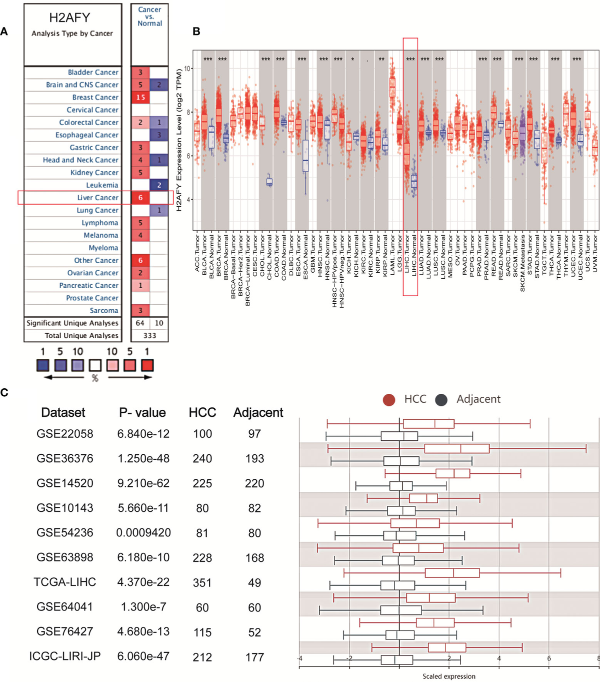 Frontiers | Exploring the Prognostic Value, Immune