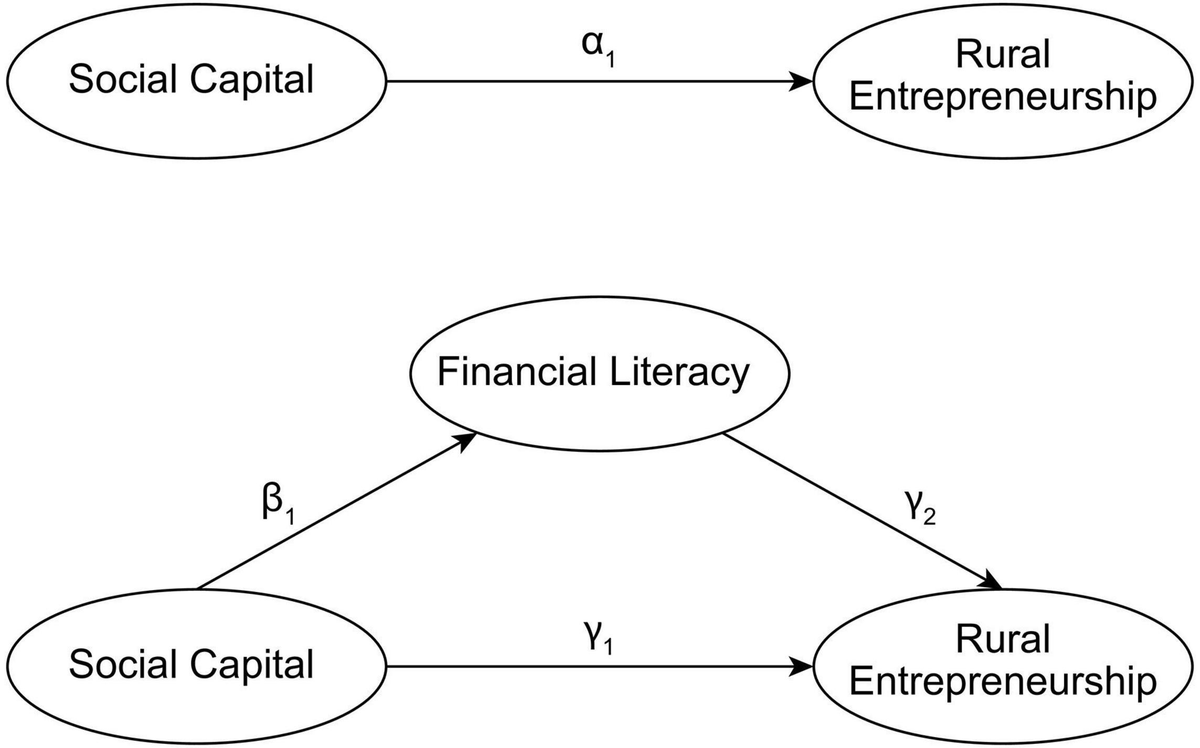 Social Capital, Financial Literacy, and Rural Household Entrepreneurship: A Mediating Effect Analysis
