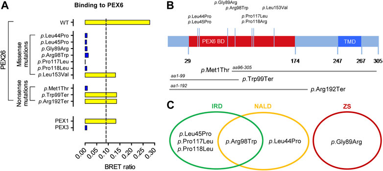 Frontiers | Edgetic Perturbations Contribute to Phenotypic