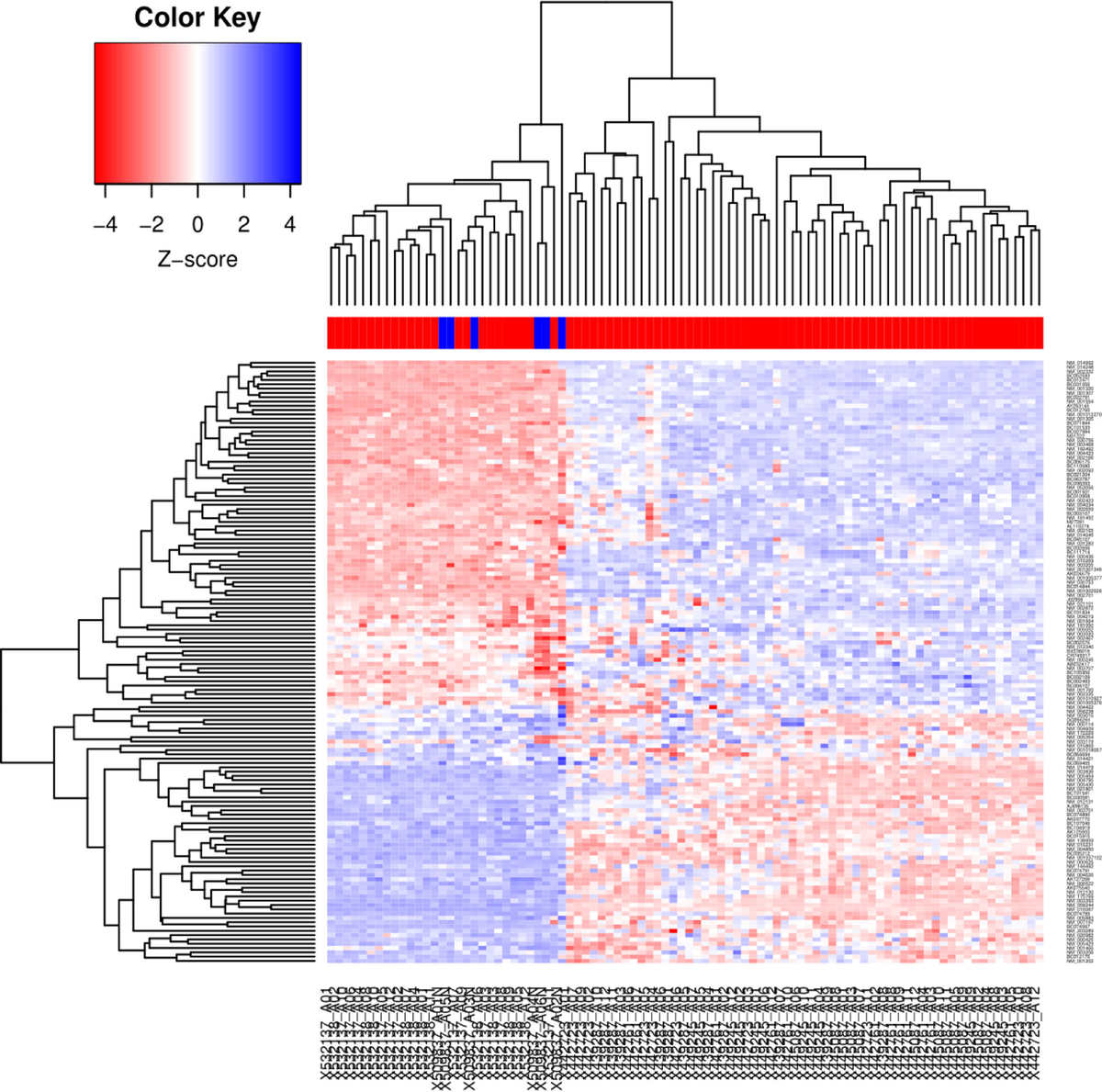 の 人気アイテムランキング Frontiers | ICRT14 by Signaling Wnt-β-Catenin of Inhibition 米/穀物
