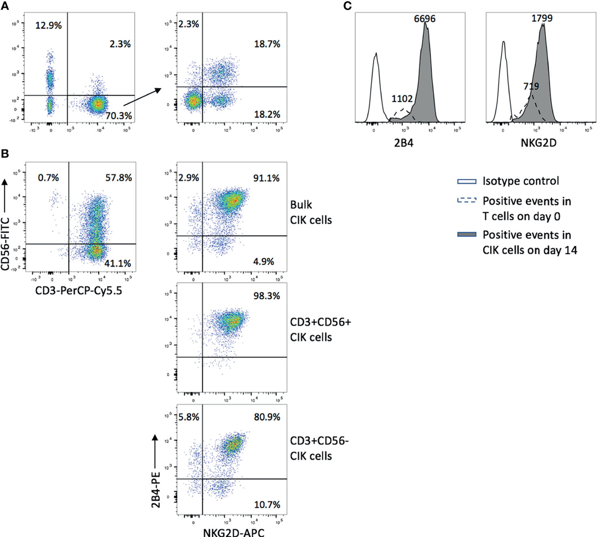 Frontiers | NKG2D Engagement Alone Is Sufficient to Activate