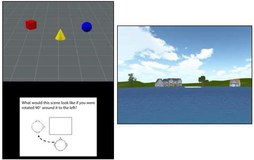 Frontiers | The relationship between vestibular function and ...