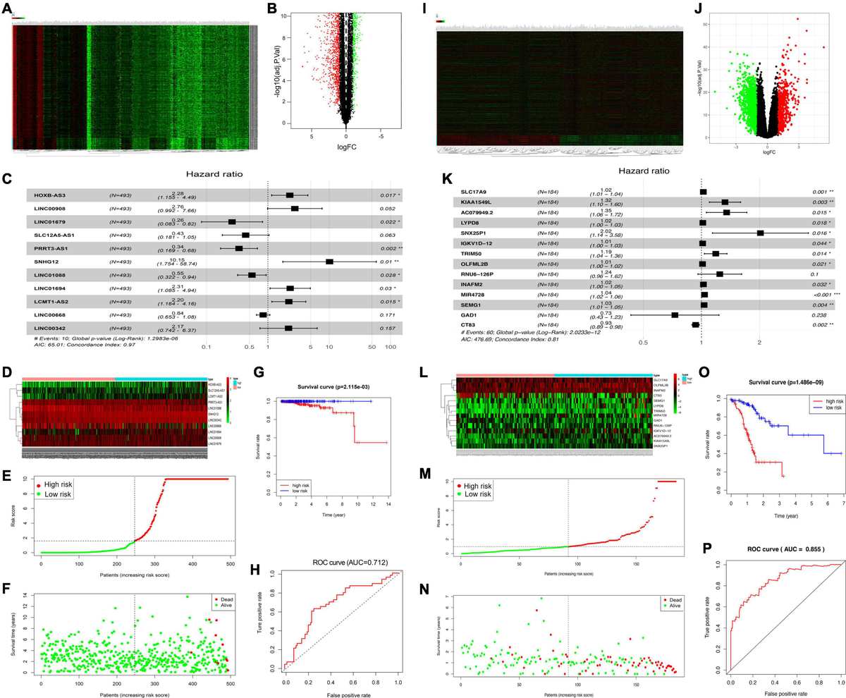 【MIRE LORE】【MARROW LEECH】【デスコア】 Dysregulated lipid metabolism and intervertebral disc