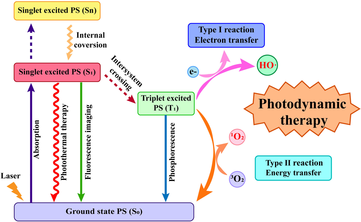 Frontiers | Current Strategies for Tumor Photodynamic