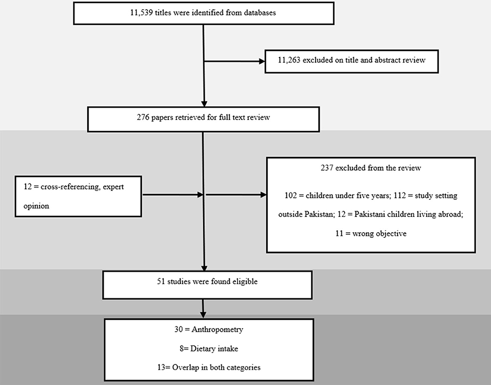 Nutritional Status and Dietary Intake of School-Age Children and Early Adolescents: Systematic Review in a Developing Country and Lessons for the Global Perspective