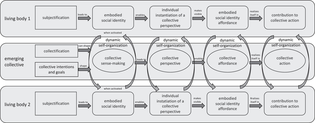 Frontiers Approaching Collectivity Collectively: A Multi Disciplinary