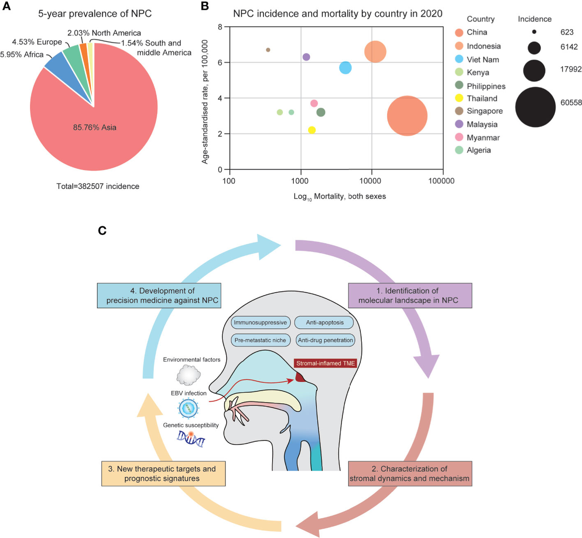 Frontiers | The Stromal and Immune Landscape of