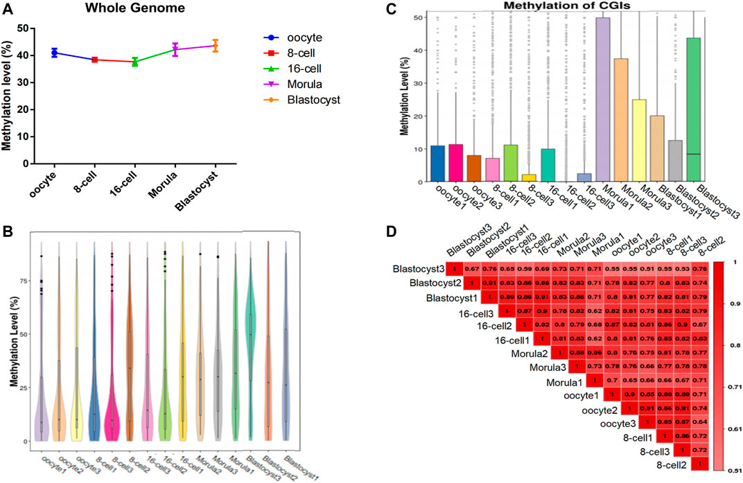 Frontiers | Whole-Genome DNA Methylation Dynamics of Sheep