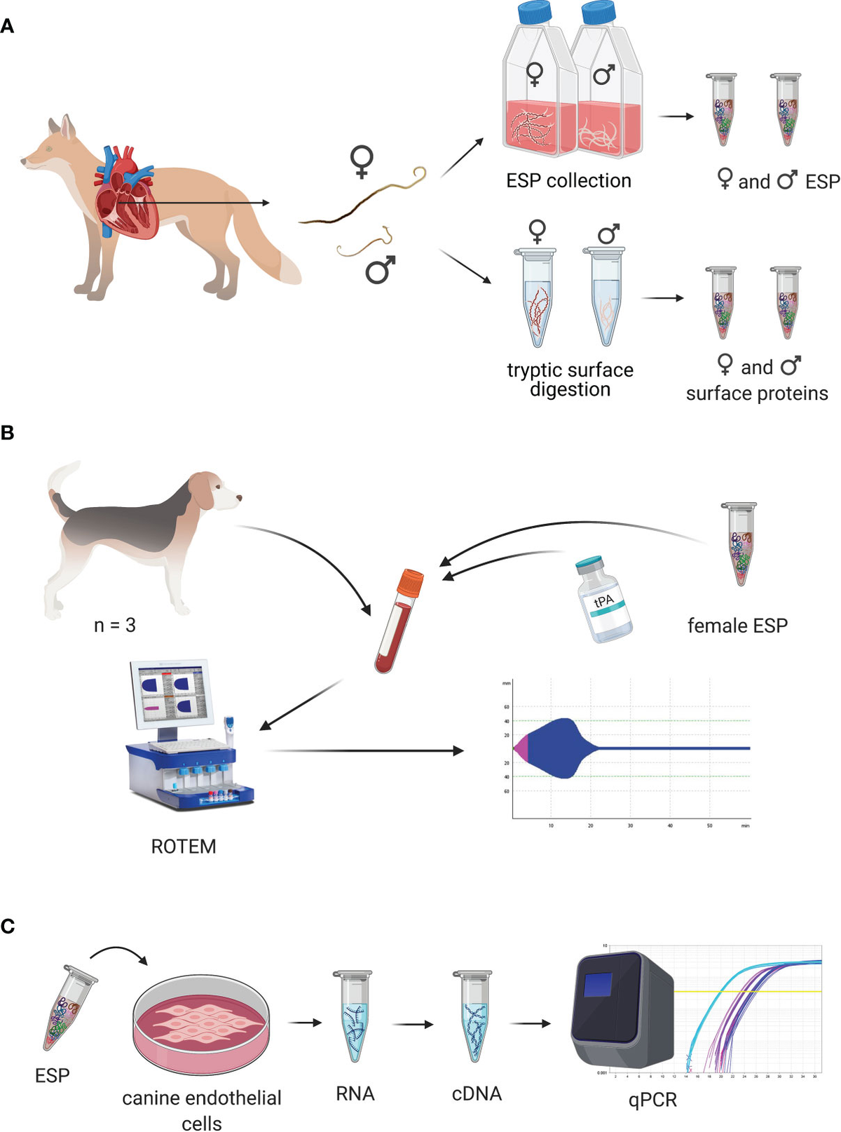 Sterile buffered saline for dogs outlet