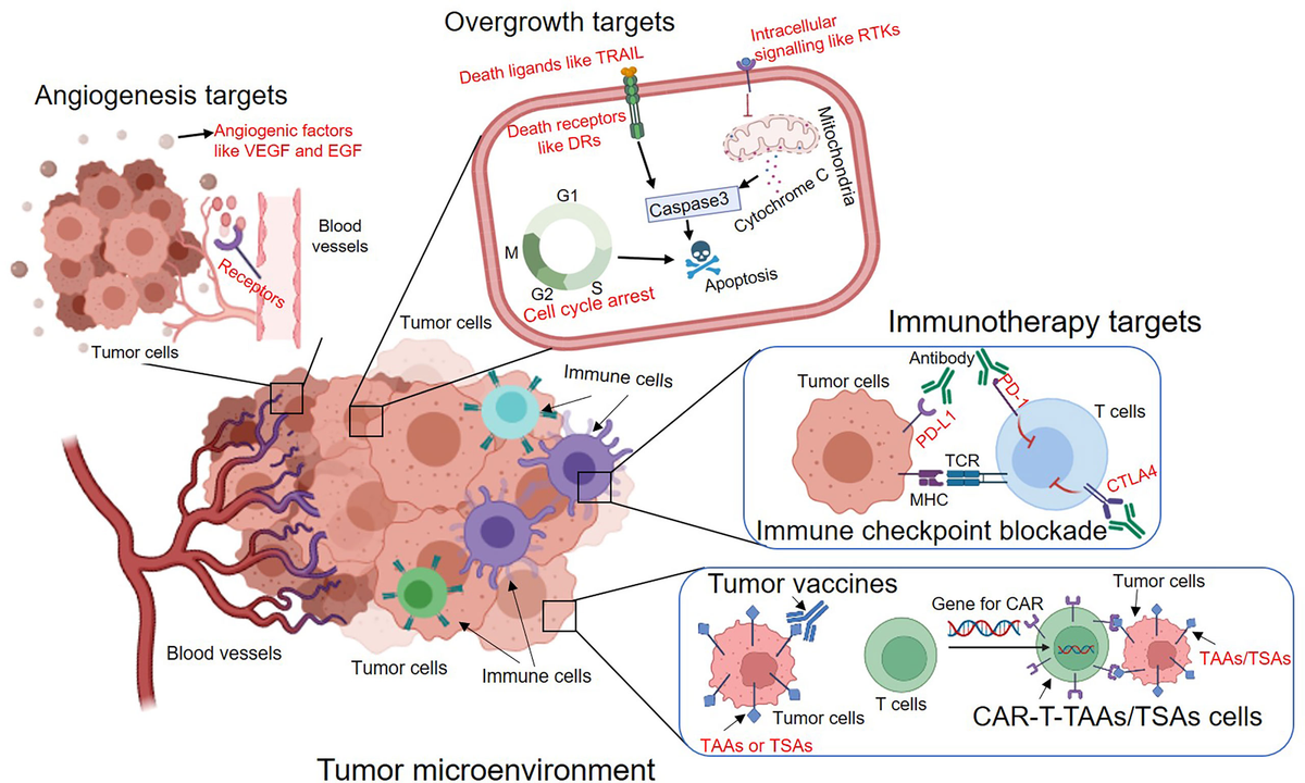 Frontiers | Evolution of Molecular Targeted Cancer Therapy