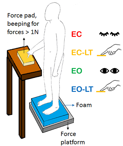 ブランド一覧 | ワールド オンラインストア Posture-Stabilising Specific | Frontiers Effects Vision of 邦楽