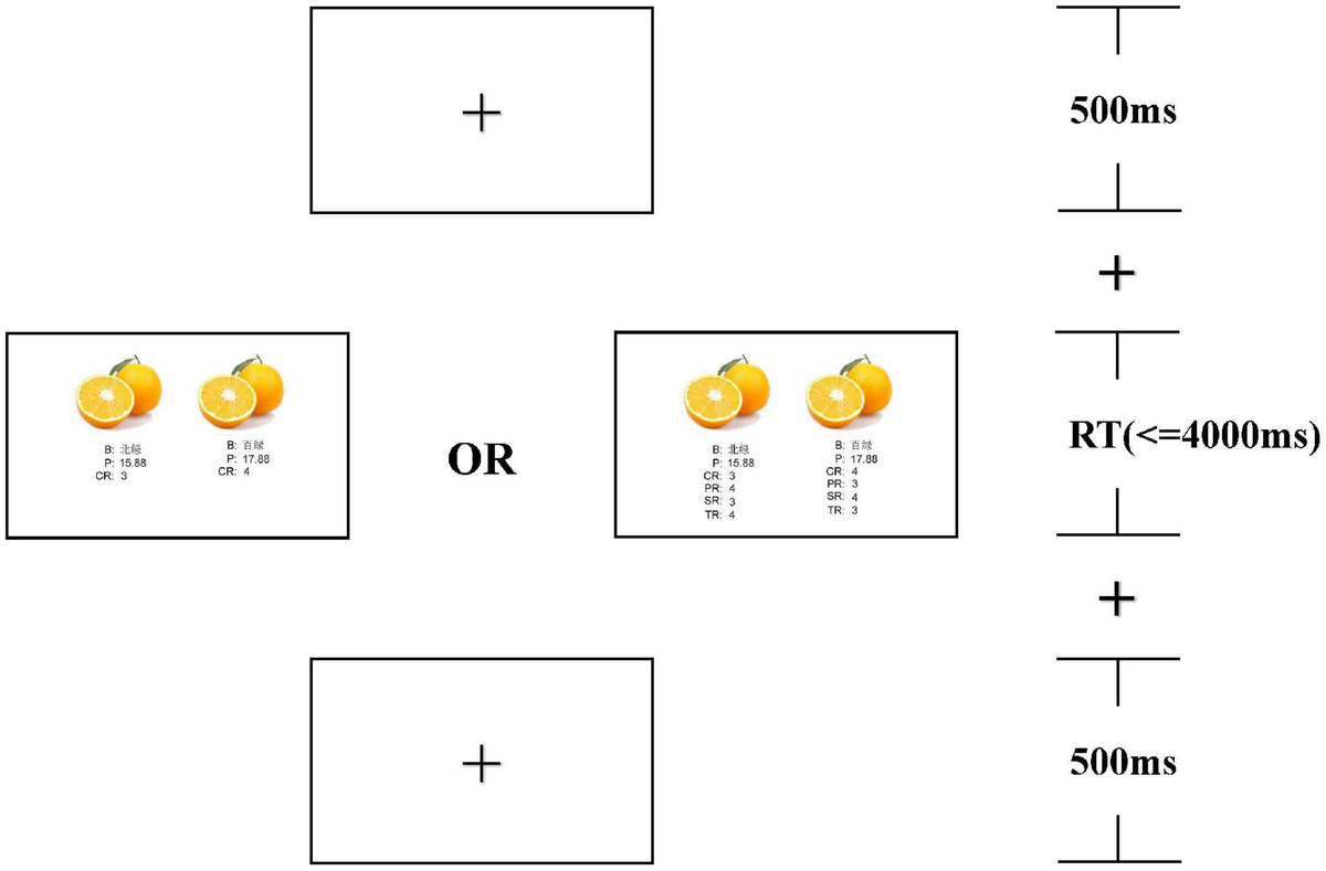 今だけの限定セール The Own: Their Each To | Frontiers Impact Regulatory of その他