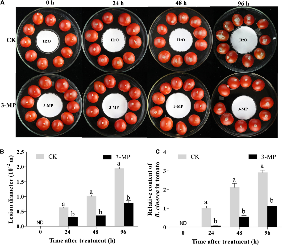 とまと Suppression of the Jasmonate Signaling Pathway by EIN3-LIKE1