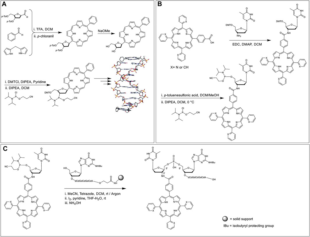 Jin Se-yeon fakenude Frontiers | Synthesis and Applications of Porphyrin-Biomacromolecule  Conjugates