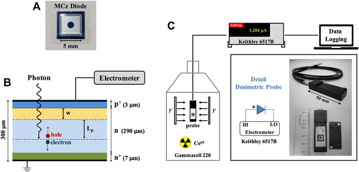 Frontiers | Performance Characterization of Dosimeters Based Frontiers | Performance Characterization of Dosimeters Based