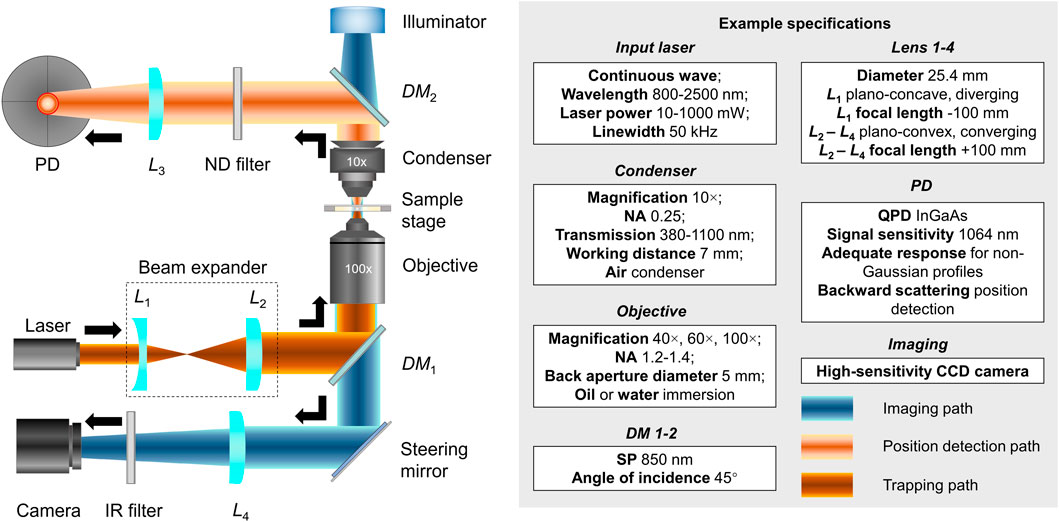 Frontiers | Recent Advances of Optical Tweezers–Based