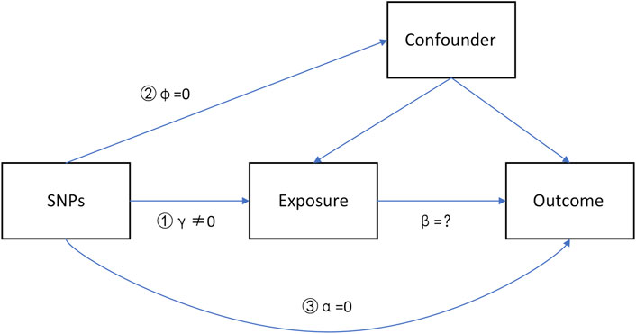 Frontiers | Multigenomics Reveals the Causal Effect of