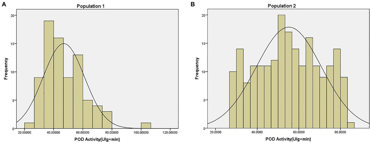 Frontiers | Identification and Functional Verification of
