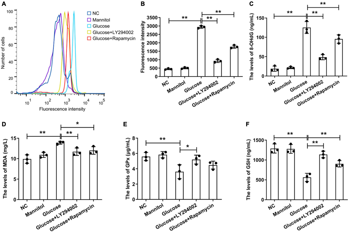Frontiers | Inhibition of PI3K/AKT/mTOR Signalling Pathway