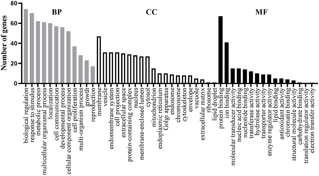 Frontiers | A Systematic Analysis on the Genes and Their Frontiers | A Systematic Analysis on the Genes and Their