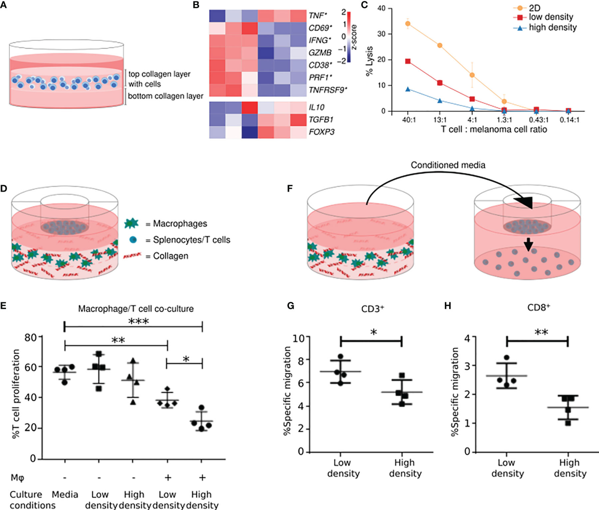 新しいブランド | Frontiers Immune Cancer in Collagen of Properties Modulatory アクセサリー