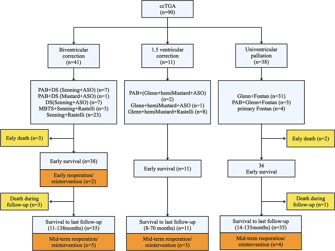 Frontiers | Congenitally Corrected Transposition of the