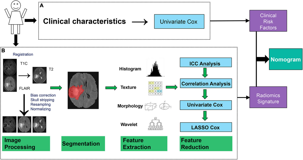 ヴィヴィアン Simultaneous Quantitation of Persulfides, Biothiols, and