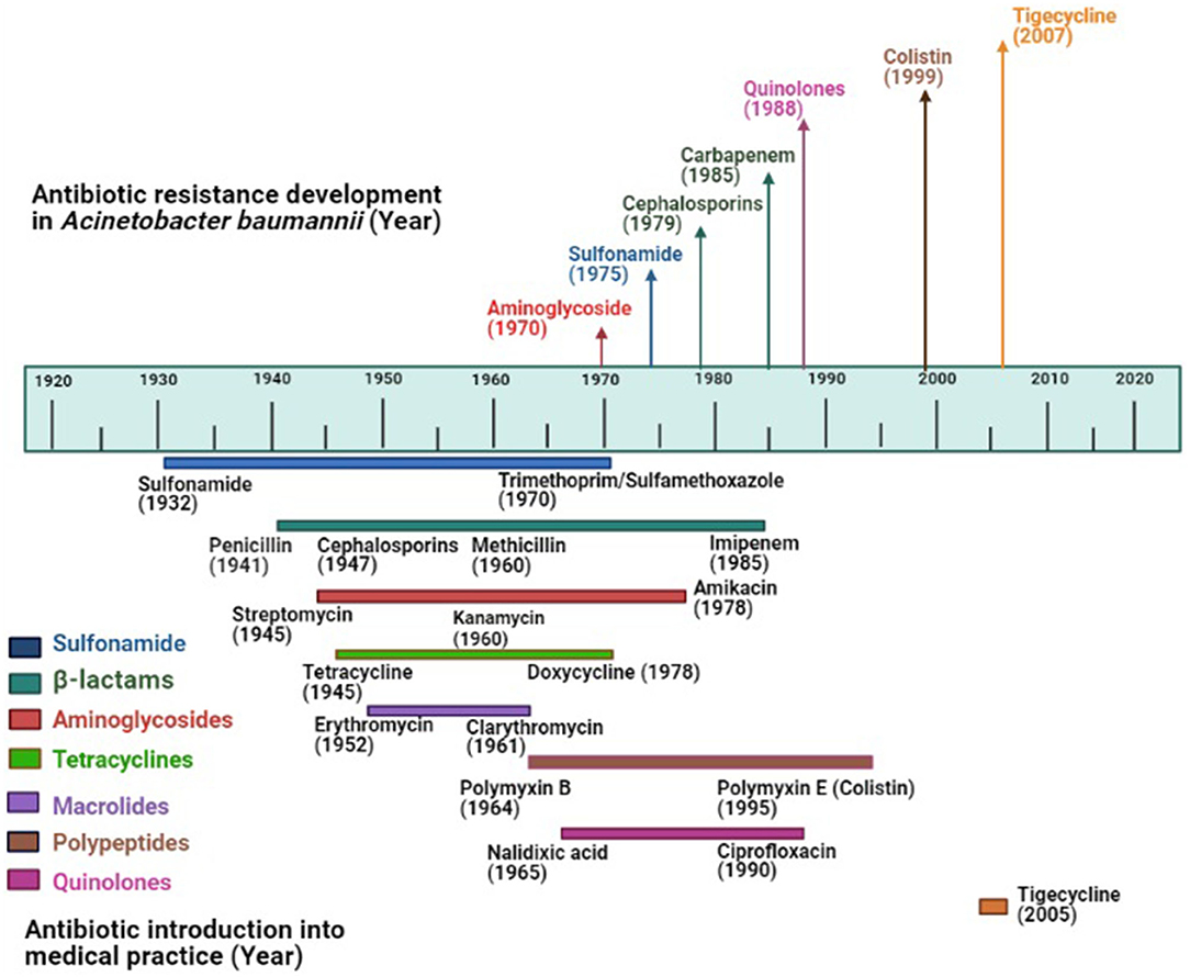 Frontiers | Convergence of Biofilm Formation and Antibiotic Frontiers | Convergence of Biofilm Formation and Antibiotic