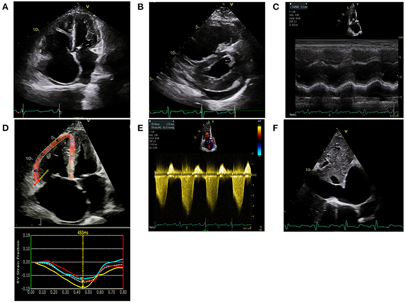 誠実 A | Frontiers Clinical in Imaging Multimodality to Approach ネックレス・ペンダント