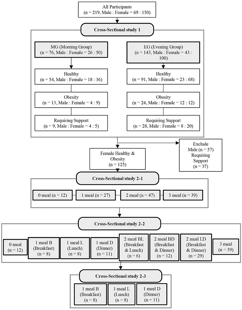 Frontiers Supplementation of Protein at Breakfast Rather Than at