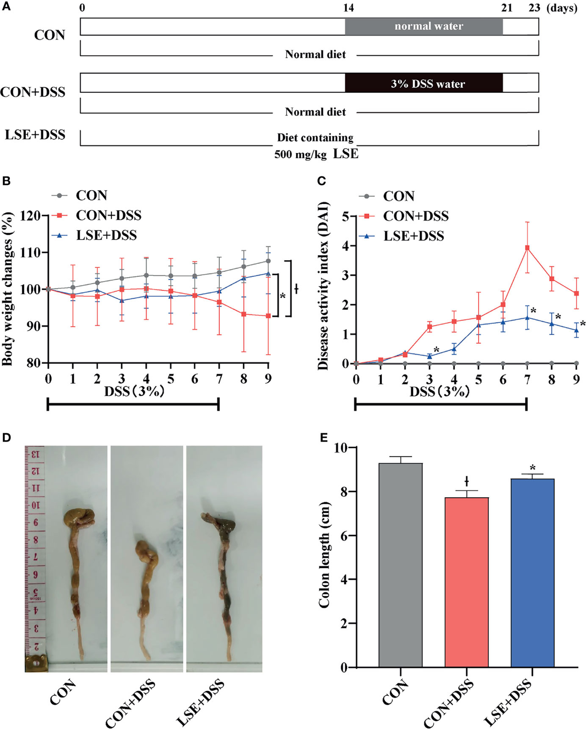 North Korea's Aid to Cuba during the Cuban Missile Crisis* - Kim - 2022 -  Pacific Focus - Wiley Online Library, image size:1200x1493