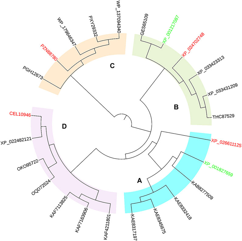 aminaseページ Structural basis of sequence-specific cytosine deamination