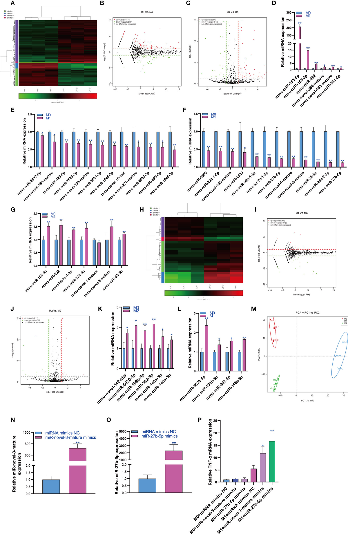 Frontiers | Changes in the Small Noncoding RNAome During M1