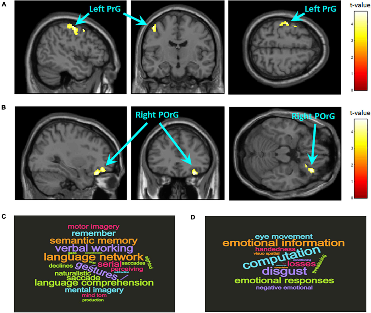 田仲真治「Brain Update」 fnins-15-799761-g001.jpg