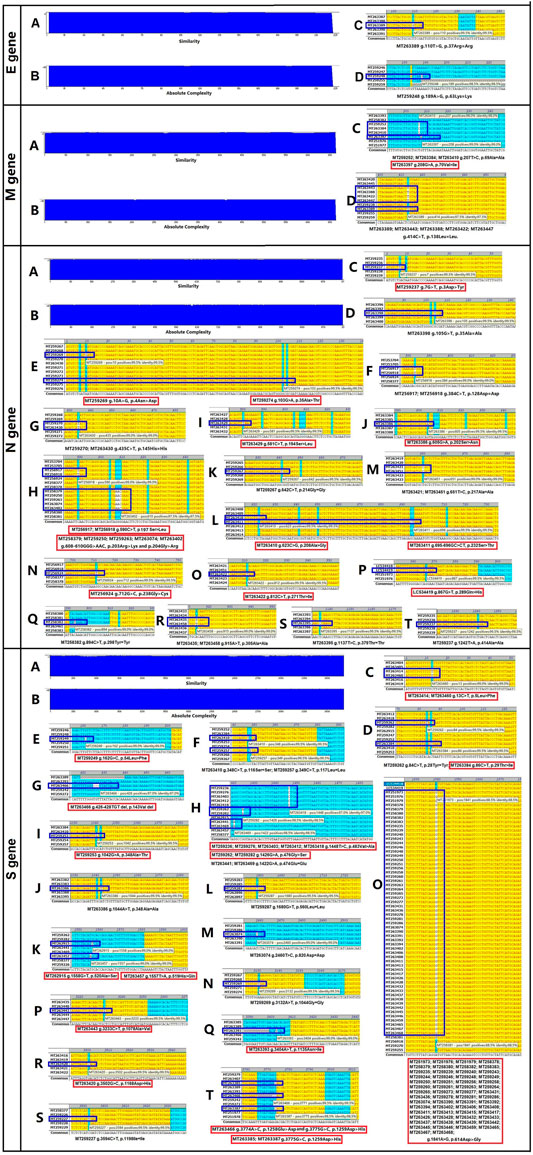 Frontiers | Structural Genomic Analysis of SARS-CoV-2 and