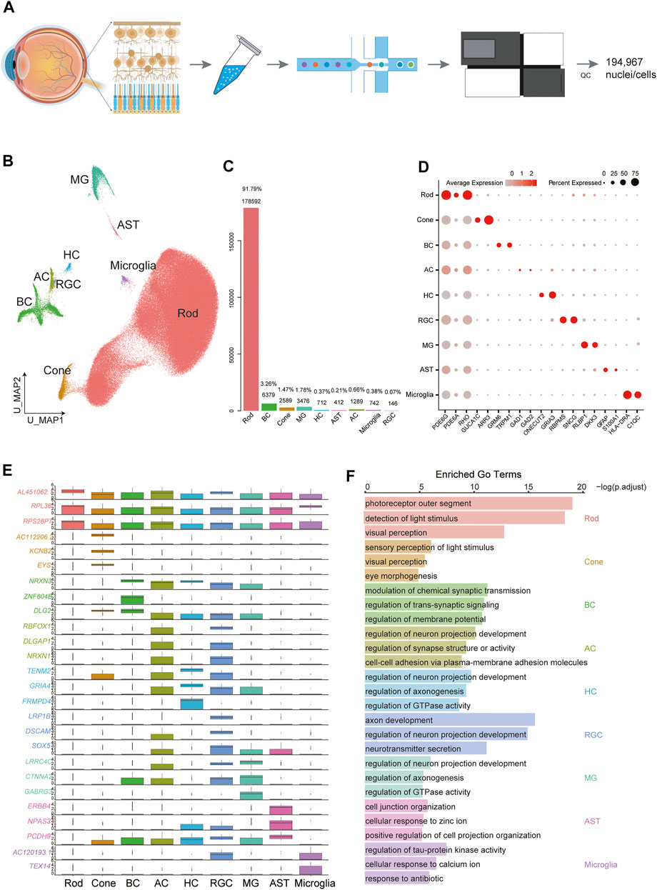 Y Echappement Moto Pompe A Eau Yamaha 125 Yz 2000 Pompe A