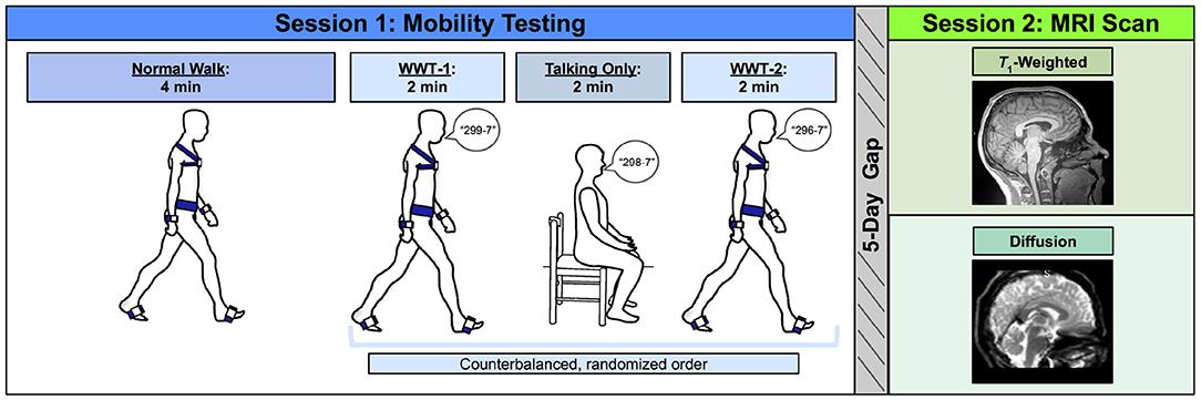Amazon.com: Interpretation: Techniques and Exercises