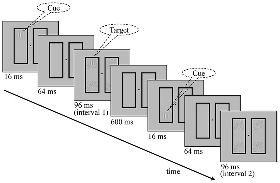 Frontiers | Distinct mechanisms subserve location- and object-based ...