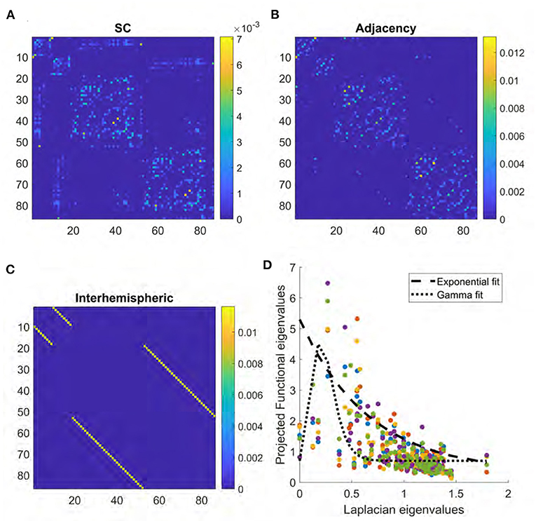 Frontiers | Predicting Functional Connectivity From Observed