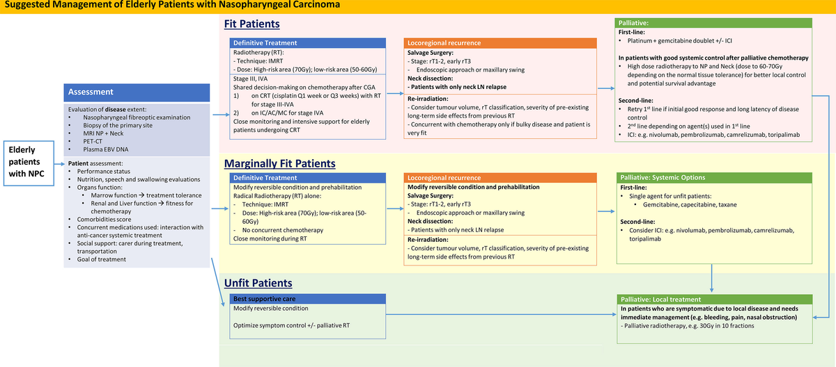 最安値級価格 | Frontiers Management in Carcinoma Nasopharyngeal of 小物