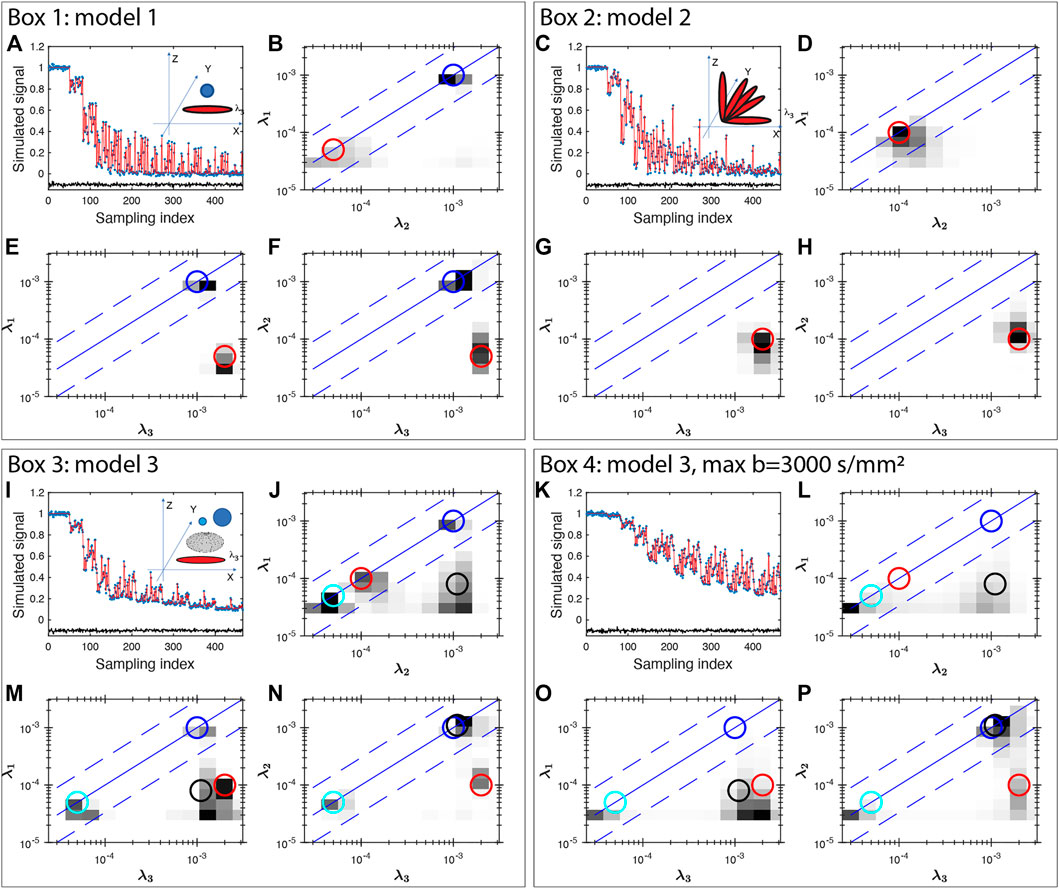 Frontiers | Measurement of Full Diffusion Tensor Frontiers | Measurement of Full Diffusion Tensor