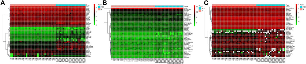 Frontiers Bioinformatics Study Revealed Significance of Exosome