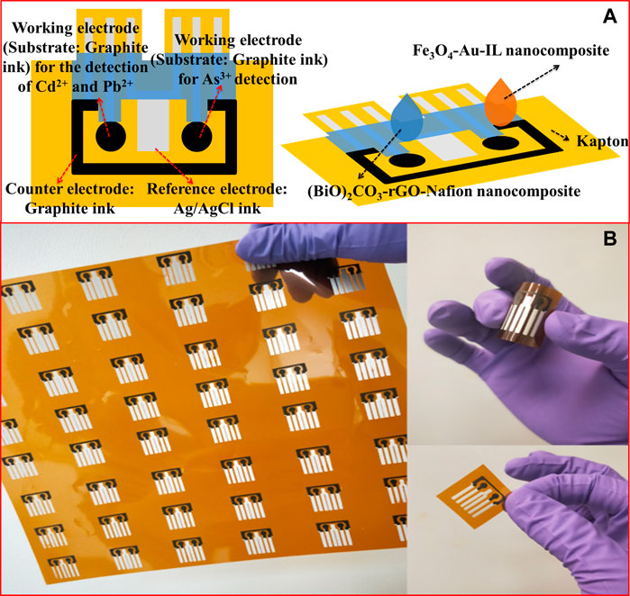 Robust Covalent Organic Framework Photocatalysts for H2O2