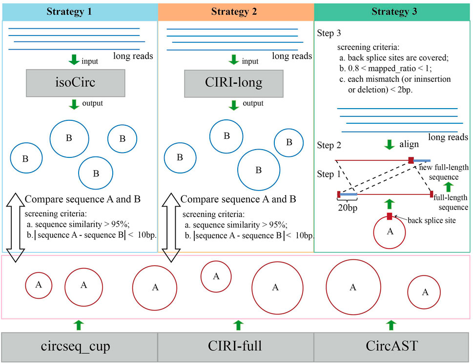 Porno tomosha: Qoshnimning xotinini sikdi