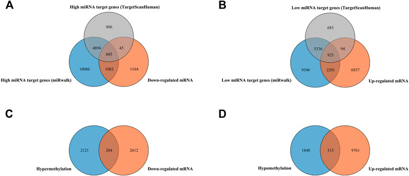 Frontiers | Epigenetic Alterations of DNA Methylation and