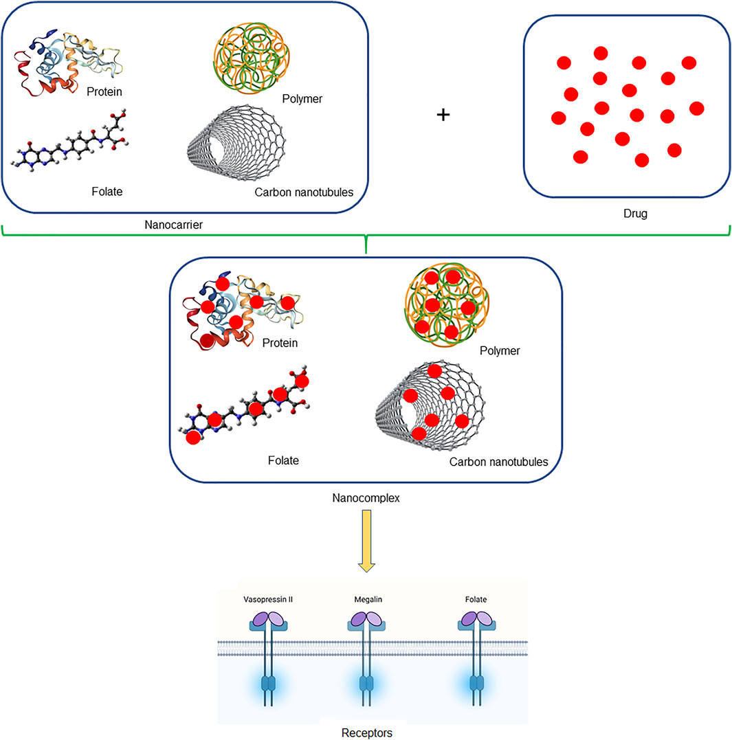 人気特価 Frontiers in Perspectives Their and Nanotechnology of Role | ウィッグ・エクステ