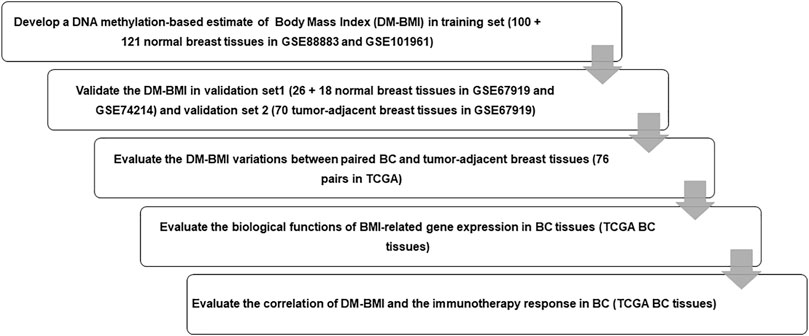 Frontiers | Integrative Analysis of Gene Expression and DNA
